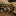 Image of something.